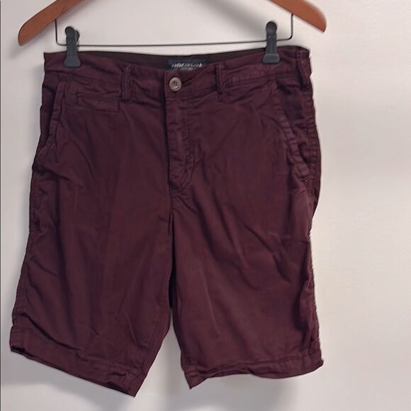 American Eagle Outfitters Other - American Eagle Outfitters dark burgundy Red Flat Front Shorts sz 29